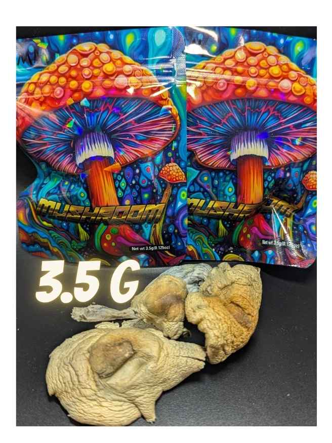 Dried Shrooms 3.5 G
