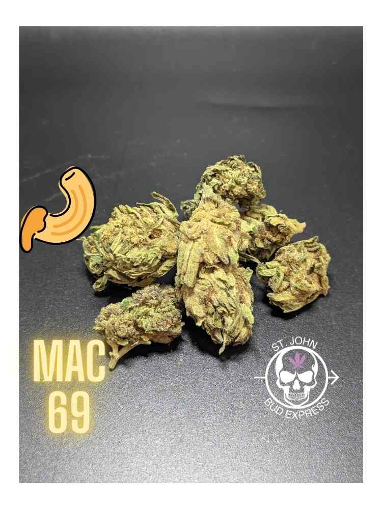 MAC 69 Sativa-Hybrid