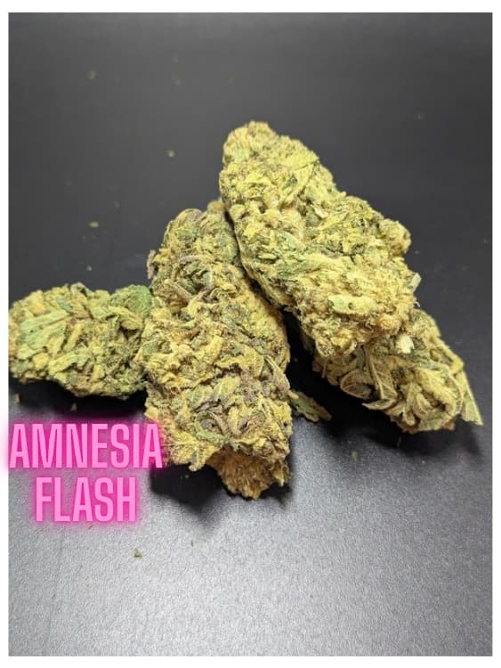 Amnesia Flash Indica