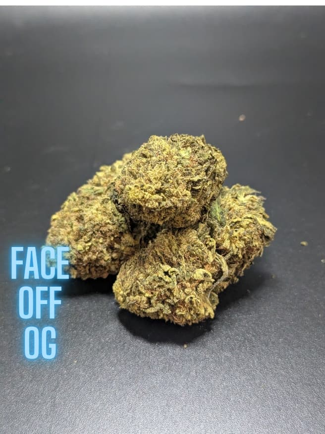 Face Off OG Hybrid