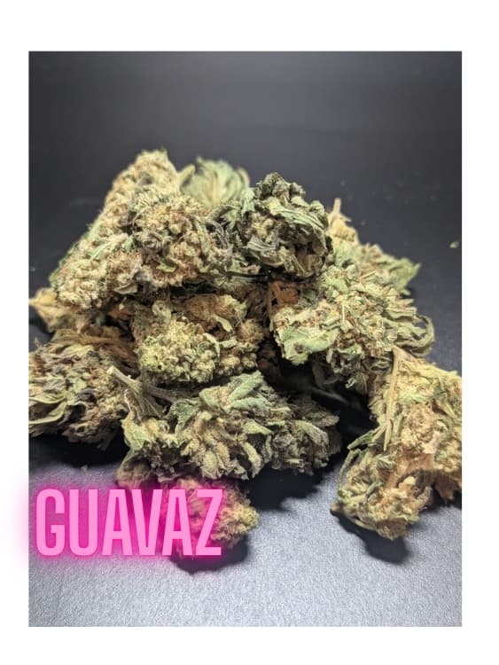 Guavaz Sativa