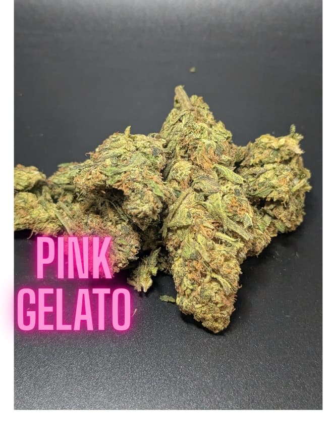 Pink Gelato Indica