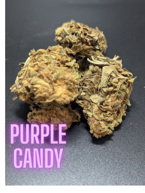 Purple Candy Hybrid