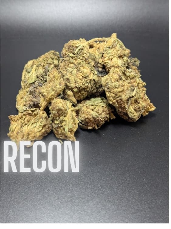 Recon Indica