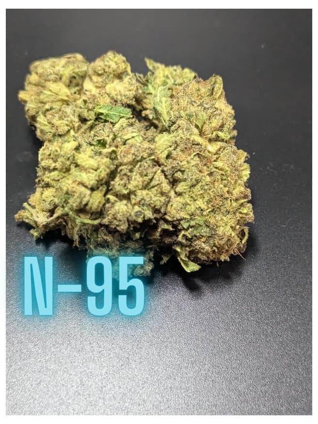 N-95 Hybrid