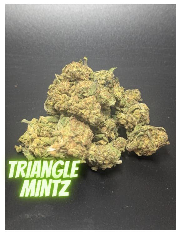 Triangle Mintz Sativa