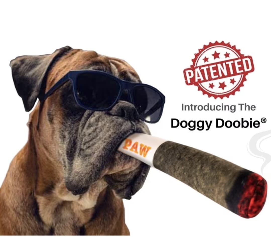 Dog in sunglasses holding the Doggy Doobie plush joint squeaky toy