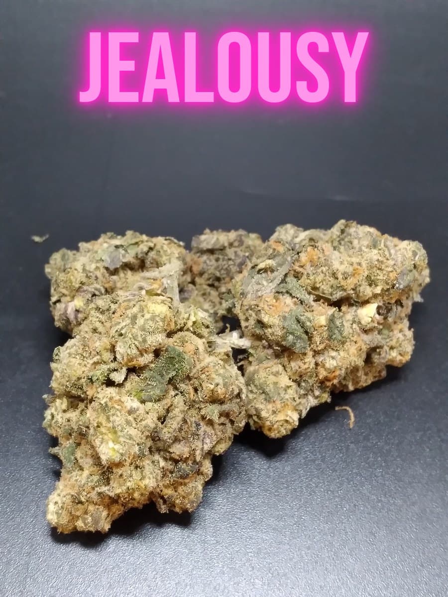Jealousy Hybrid cannabis flower