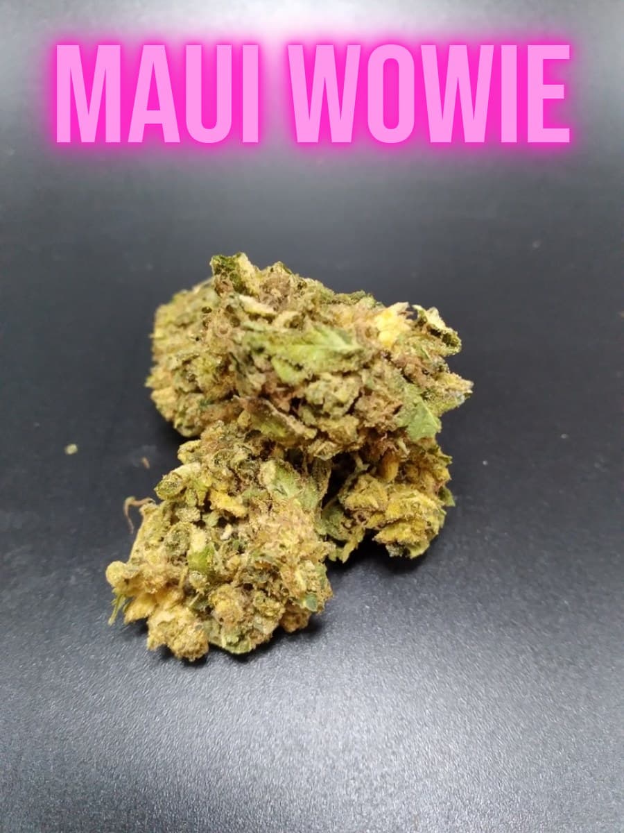 Maui Wowie Sativa cannabis flower