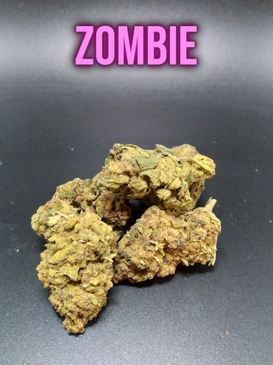 Zombie Indica cannabis flower