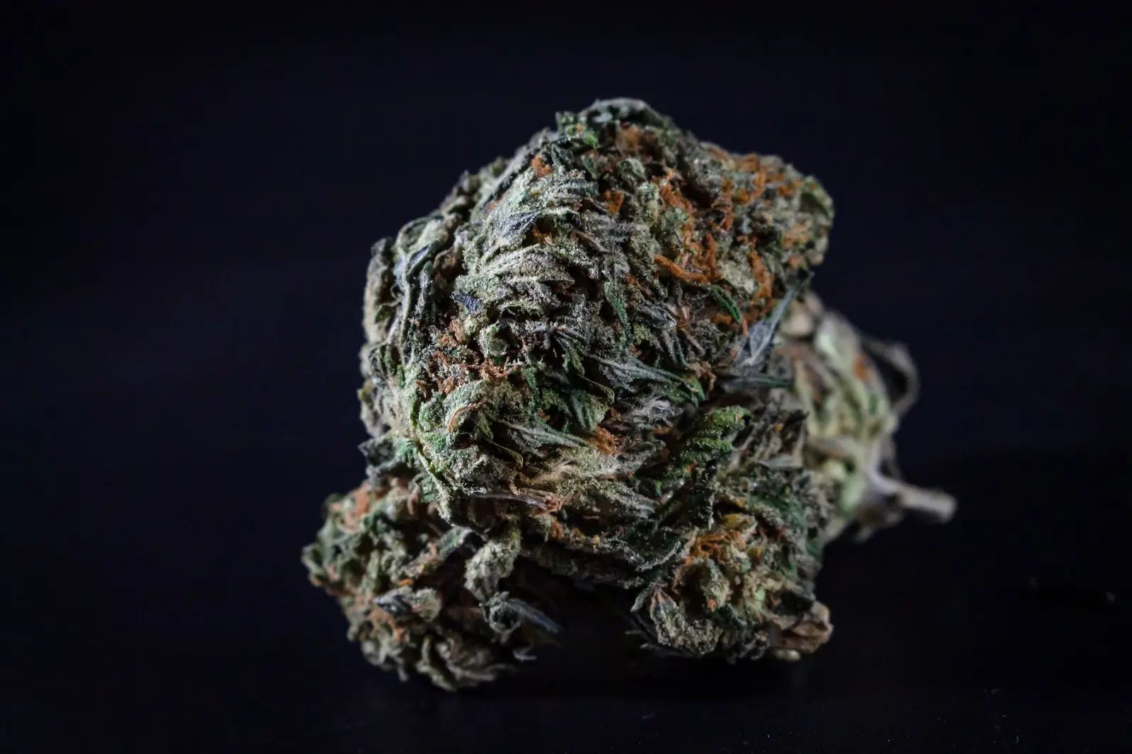 Detailed image of a cannabis bud against a black background, highlighting texture and detail.