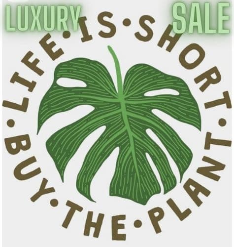 Luxury Bud Sale