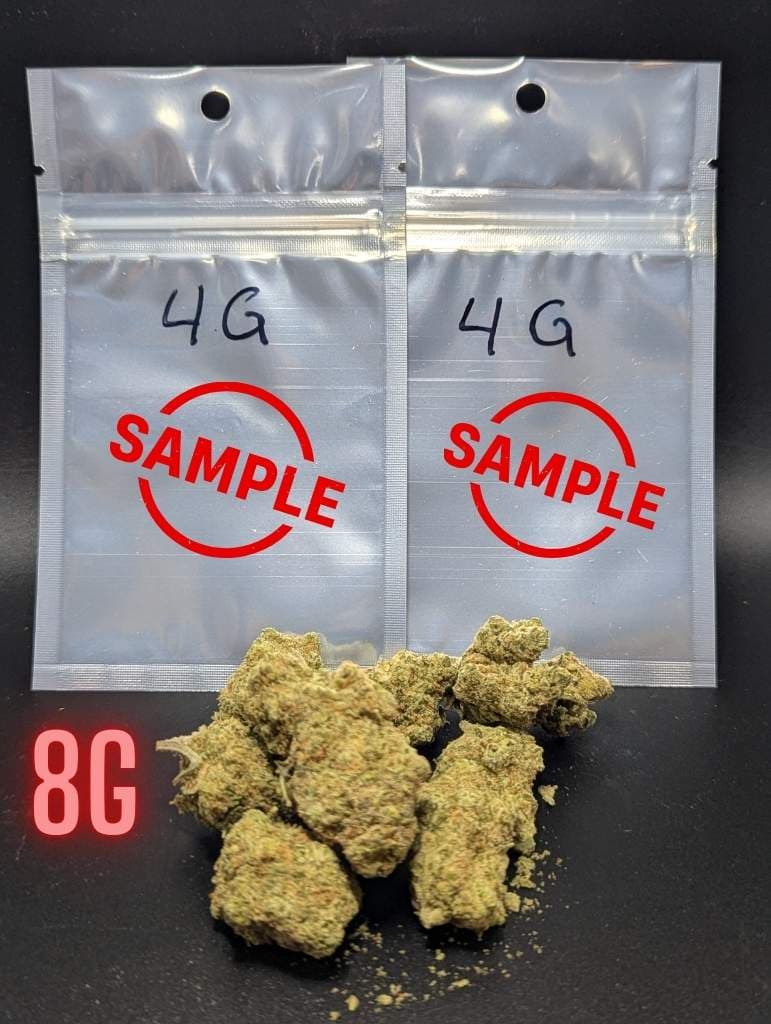 AAA Bud Tasters