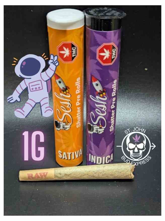 Sesh Shatter Pre Rolls