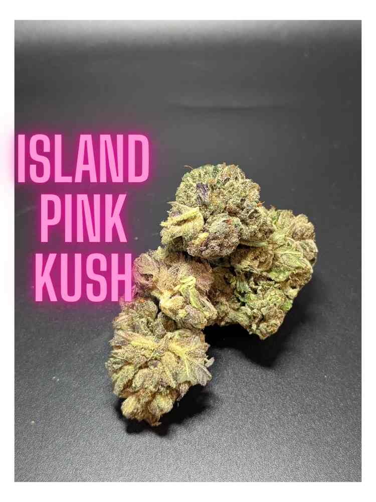 Island Pink Kush Indica