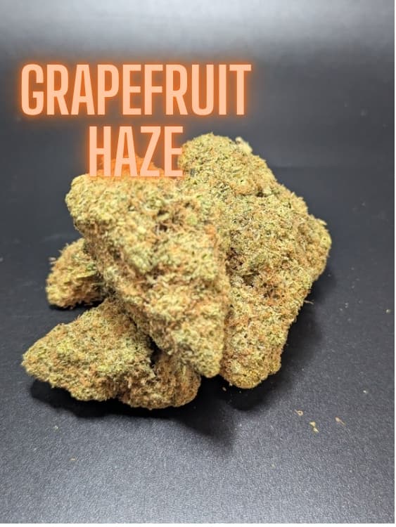 Grapefruit Haze Sativa