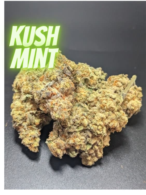 Kush Mint Hybrid