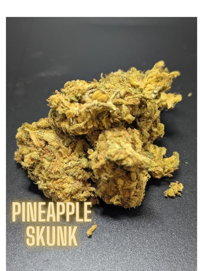 Pineapple Skunk Indica
