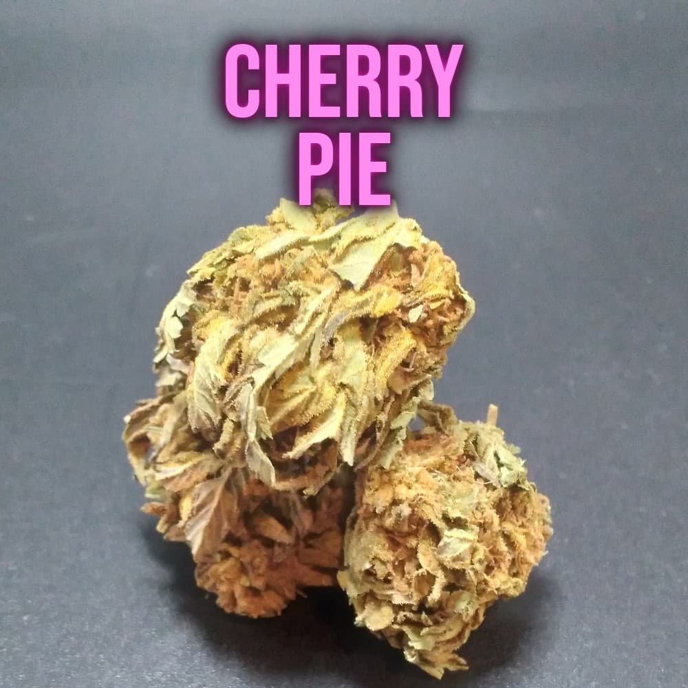 Cherry Pie Indica cannabis flower