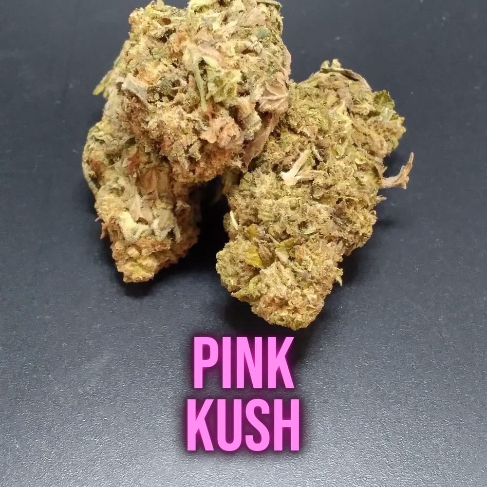 Pink Kush Indica cannabis flower