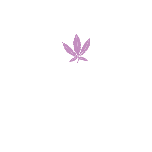 Saint John Bud Express