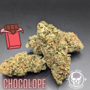 Chocolope AKA "Sativa Specialist"