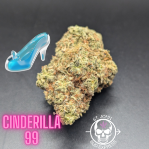 Cinderella 99 Sativa