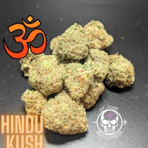 Hindu Kush Indica