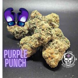 Platinum Purple Punch Sativa