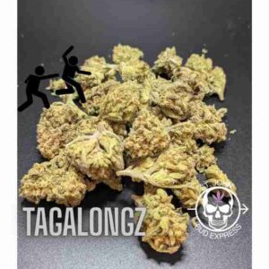 Tagalongz Indica