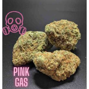 Pink Gas Indica