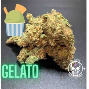 Gelato Indica