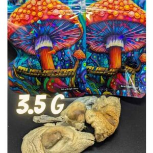 Dried Shrooms 3.5 G