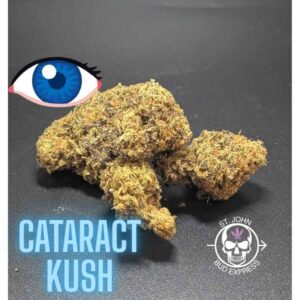 Cataract Kush Indica