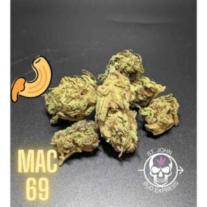 MAC 69 Sativa-Hybrid