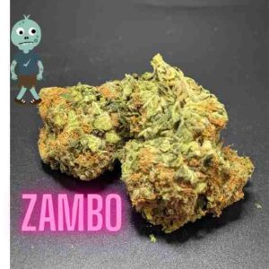 Zambo Sativa