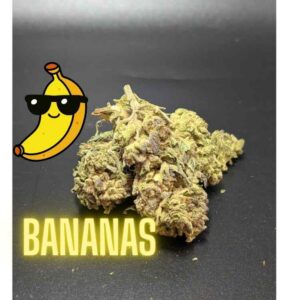 Bananas Indica