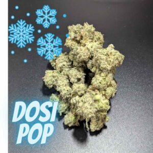 Dosi Pop Hybrid