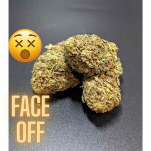 Face Off Hybrid