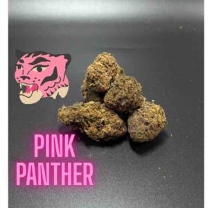 Pink Panther Sativa