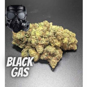Black Gas Indica