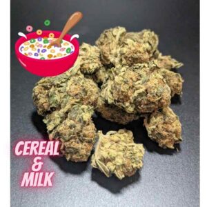 Cereal Milk Hybrid