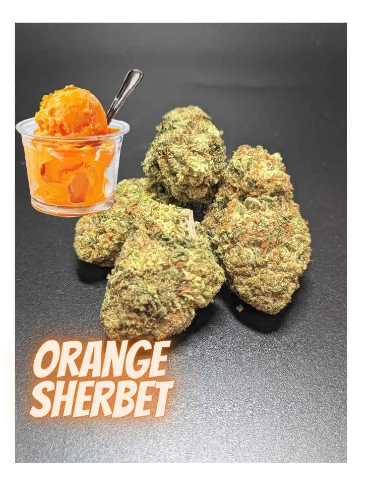 Orange Sherbet_20260723_204442_0000