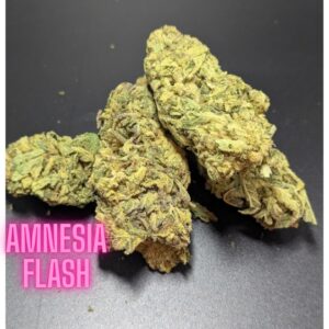 Amnesia Flash Indica