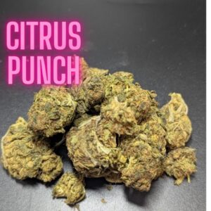 Citrus Punch Sativa