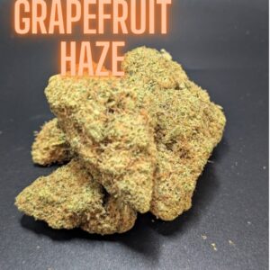 Grapefruit Haze Sativa