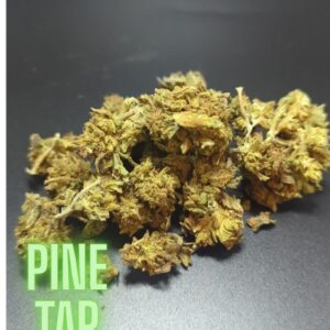 Pine Tar Indica