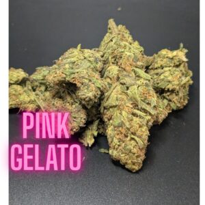 Pink Gelato Indica