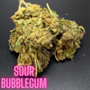 Sour Bubblegum Indica